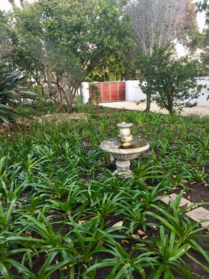 Acorn Cottage Hermanus Exterior photo
