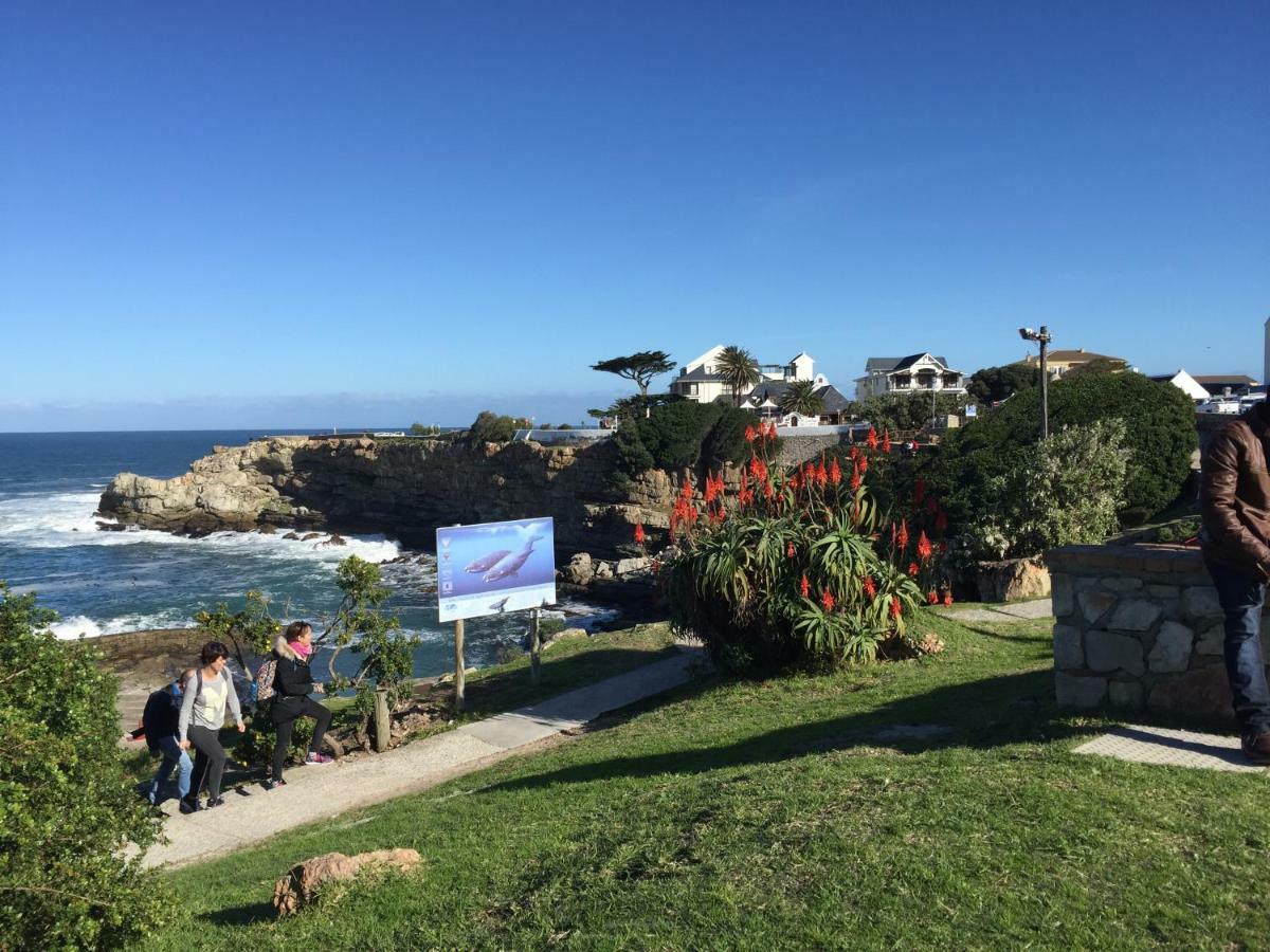 Acorn Cottage Hermanus Exterior photo